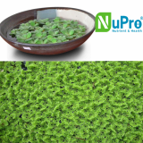 Azolla Microphylla extract